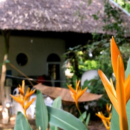 Kim'S Garden Villa Anda  Ngoại thất bức ảnh