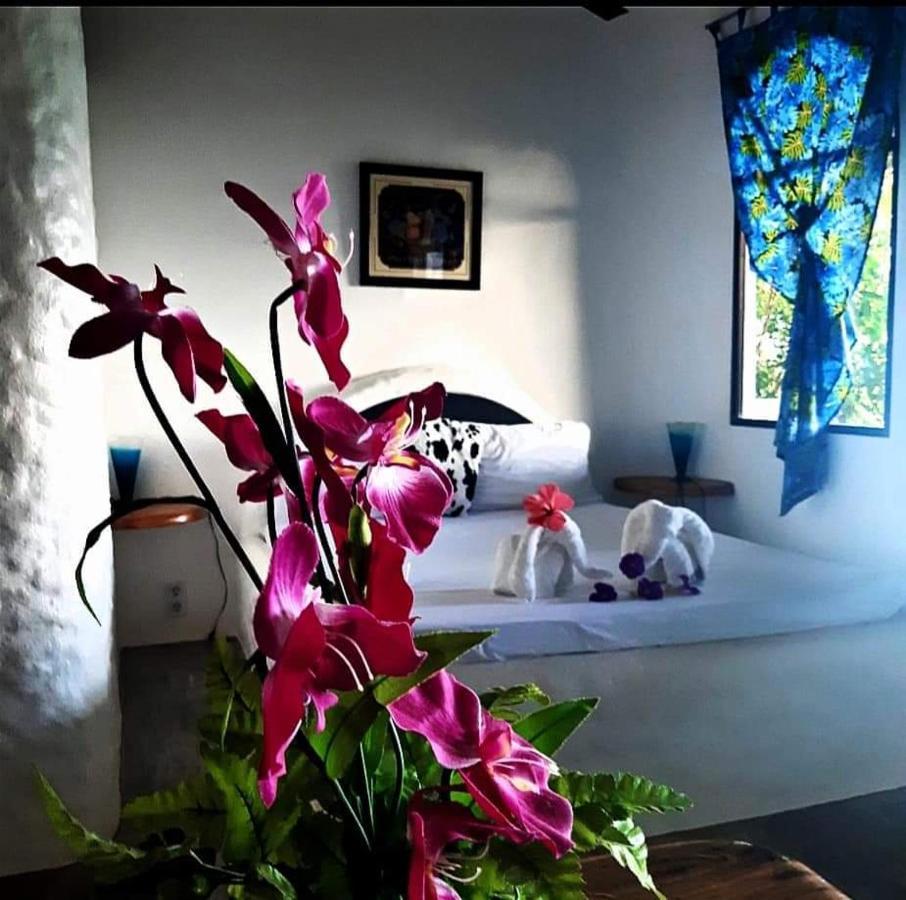 Kim'S Garden Villa Anda  Ngoại thất bức ảnh