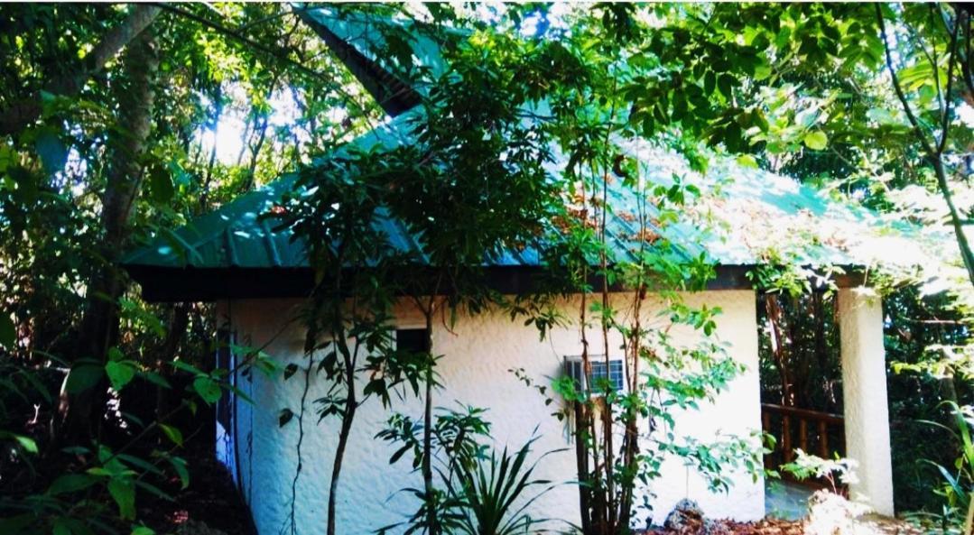 Kim'S Garden Villa Anda  Ngoại thất bức ảnh
