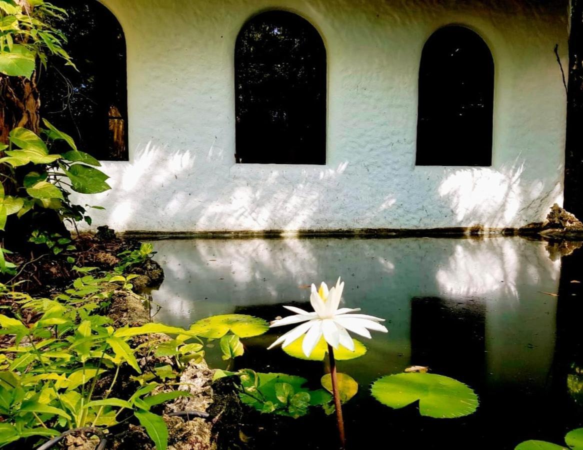 Kim'S Garden Villa Anda  Ngoại thất bức ảnh