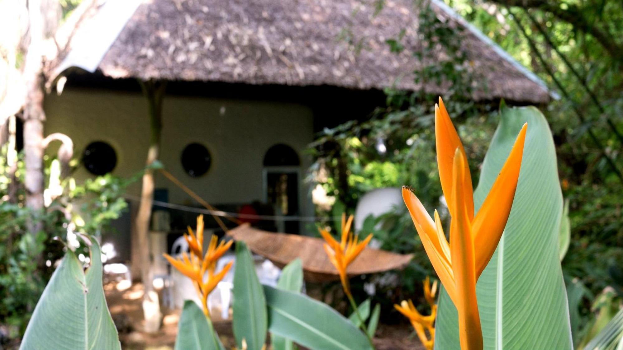 Kim'S Garden Villa Anda  Ngoại thất bức ảnh