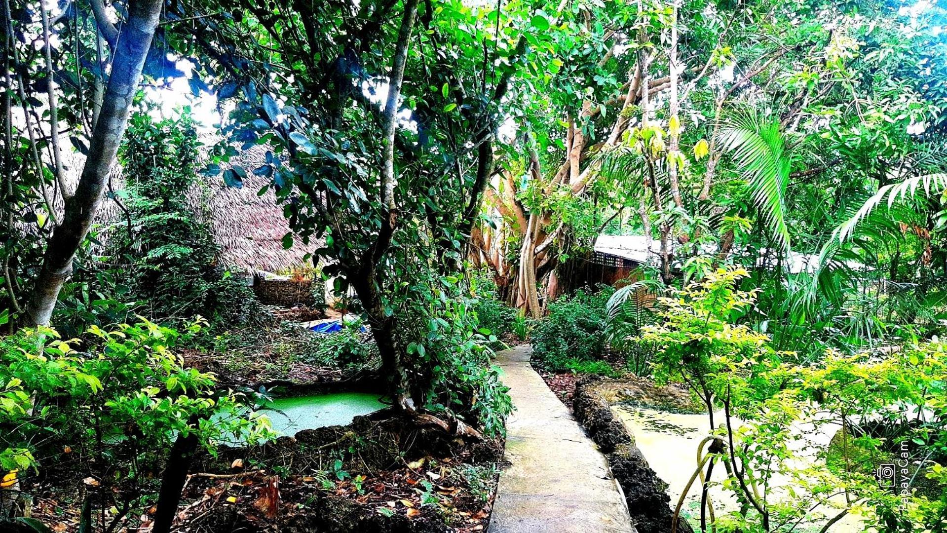 Kim'S Garden Villa Anda  Ngoại thất bức ảnh