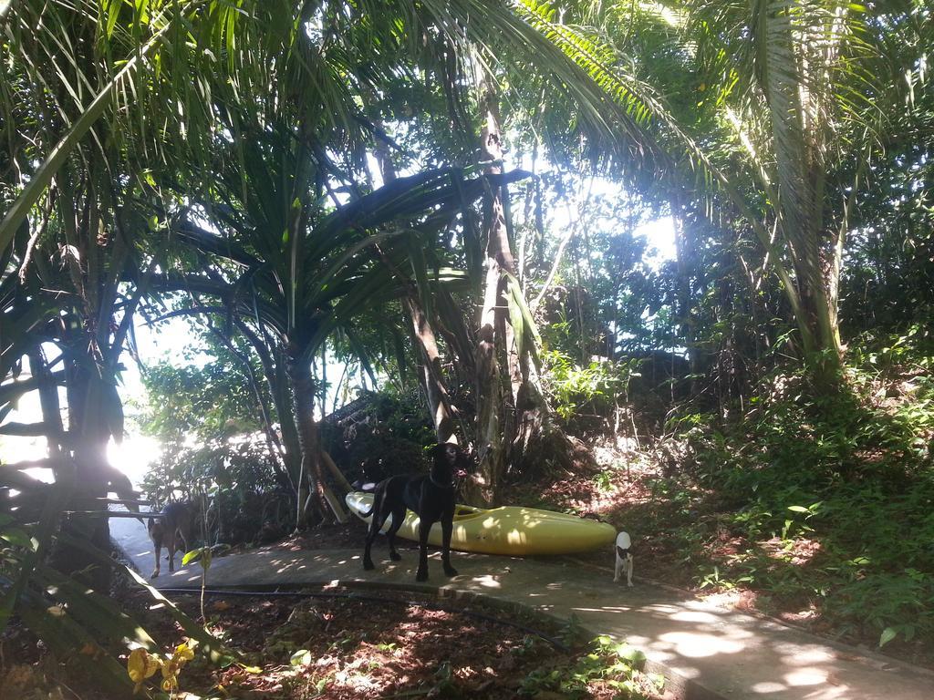 Kim'S Garden Villa Anda  Ngoại thất bức ảnh