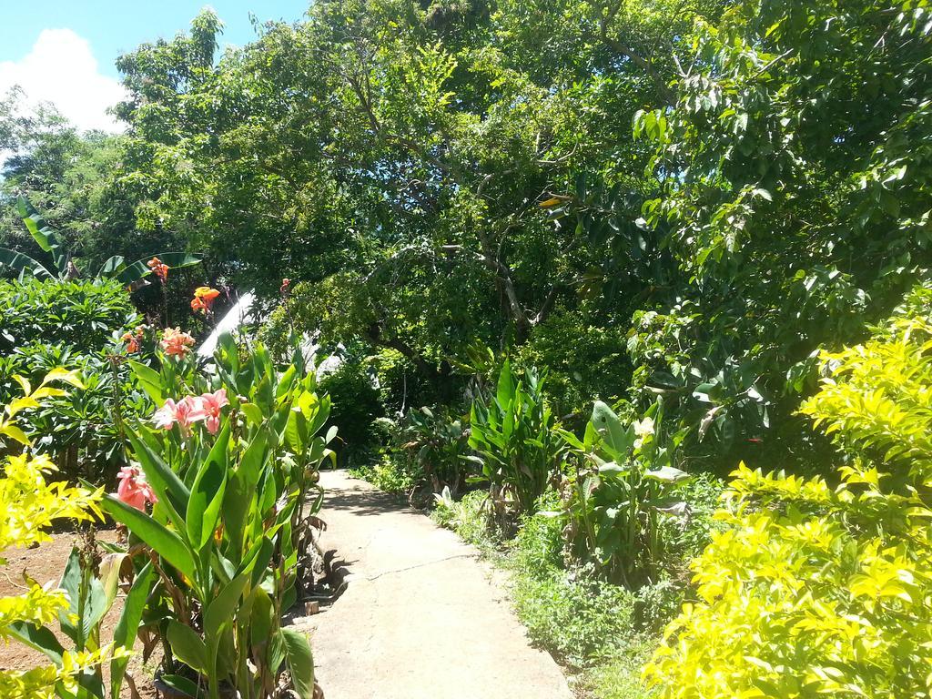 Kim'S Garden Villa Anda  Ngoại thất bức ảnh